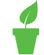 Leaf Pot Icon