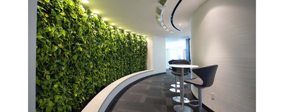 Imperial Tobacco Green Wall
