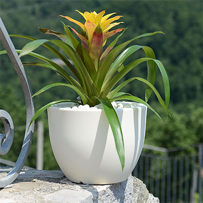 BESTA - Plantes en plastique avec plat - Petits pots en plastique avec  trous de drainage, pots de fleurs avec plateaux, pots en plastique pour  plantes d'intérieur et d'extérieur - Pots, cache-pots 